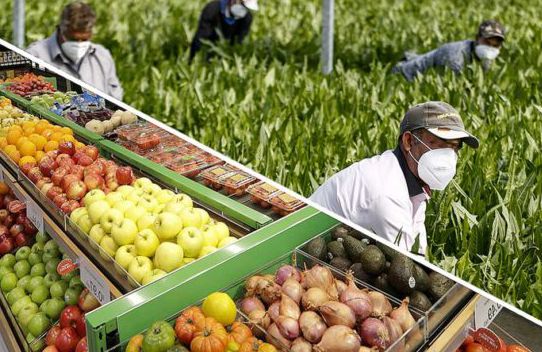 Instalaciones industriales con resinas de grado alimentario para tratamiento de agua y alimentos