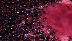 Equipos industriales para el tratamiento de mostos de uva en procesos de vinificación