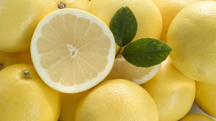 Equipos industriales para el tratamiento y filtración de zumo de pomelo en procesos alimentarios
